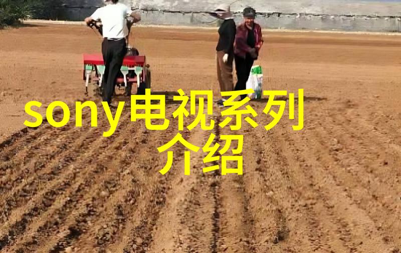 小型花园或庭院中为什么需要频繁维护和重新场地平整