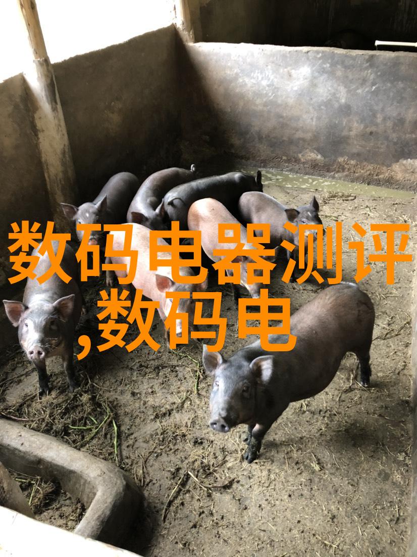 时间管理技巧高效地平衡家庭与工作生活