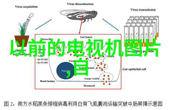 居家美学室内装修设计图的艺术探索