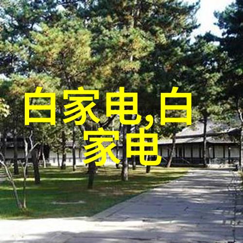 金钱的殿堂财经大学之巅峰探索