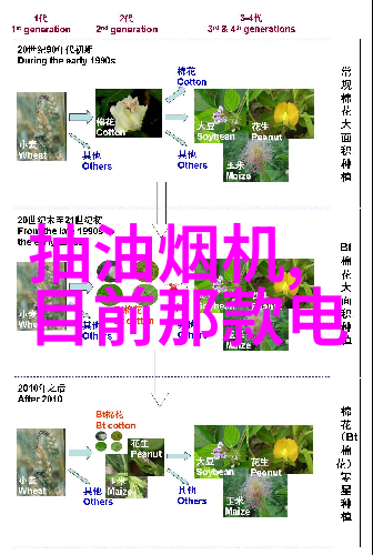 巴掌印甲虫花花奇异生态与保护的挑战