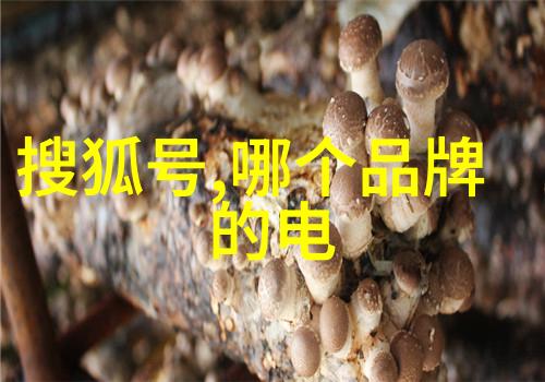 工业以太网设备-智能化与可靠性的融合工业以太网设备的未来趋势