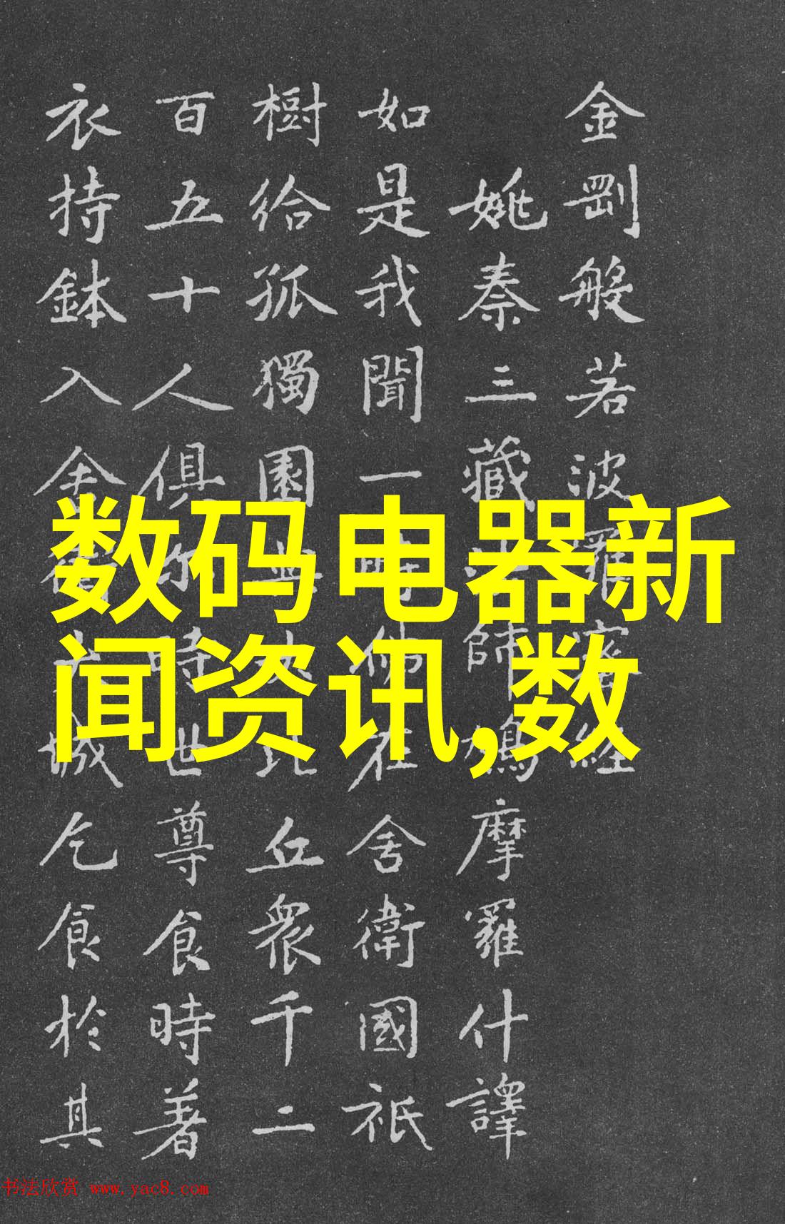 春日绽放的纯洁之花百合花的寓意与文化意义