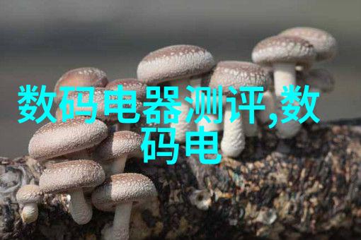 无人机直流电机性能如何在社会中它的应用有哪些特点