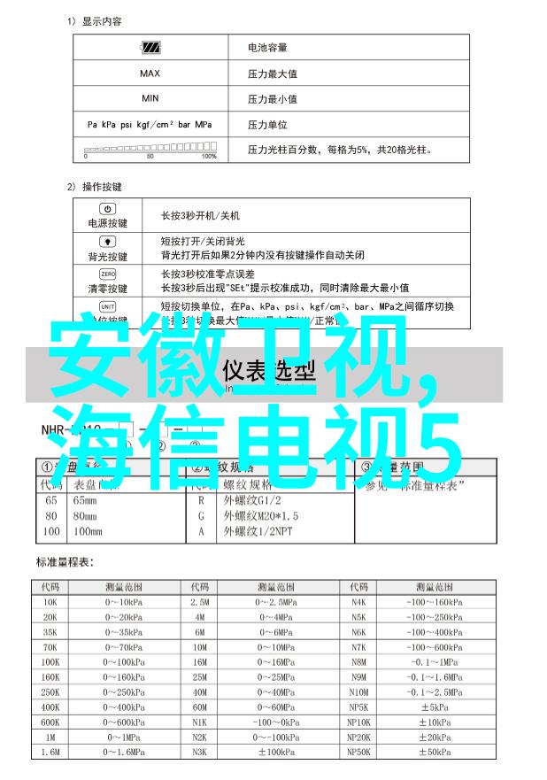 铁血管道防腐的守护者