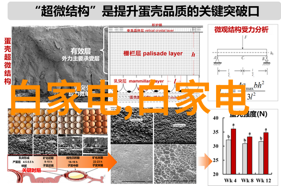 镜头背后的秘密尼康D3200的遗失瞬间