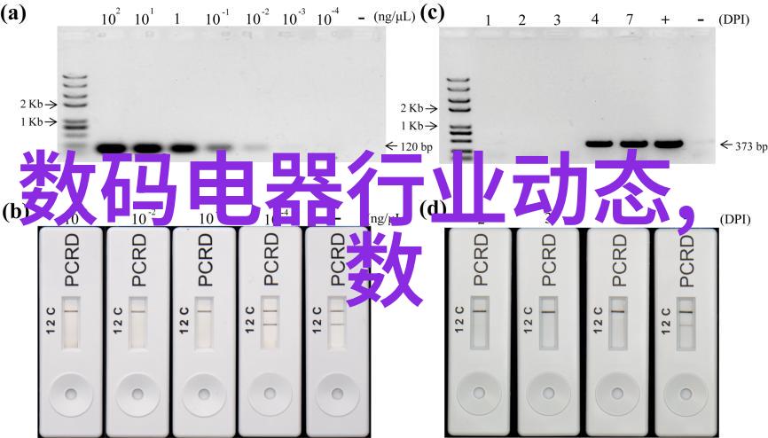 医疗健康管理中的智能化技术进展与实践