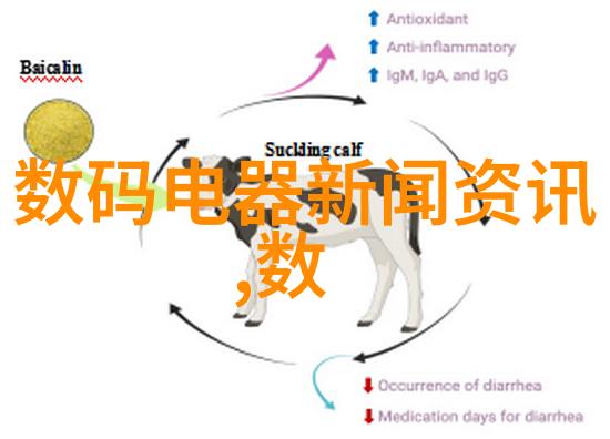 福州装修设计追求传统韵味与现代感的完美融合